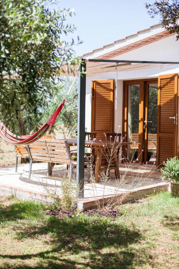 Agriturismo Fontetrilla 奥尔贝泰洛 外观 照片