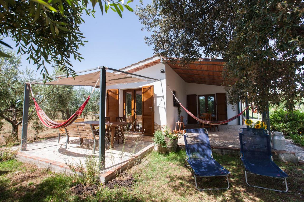 Agriturismo Fontetrilla 奥尔贝泰洛 外观 照片