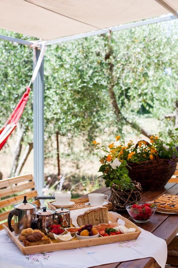 Agriturismo Fontetrilla 奥尔贝泰洛 外观 照片