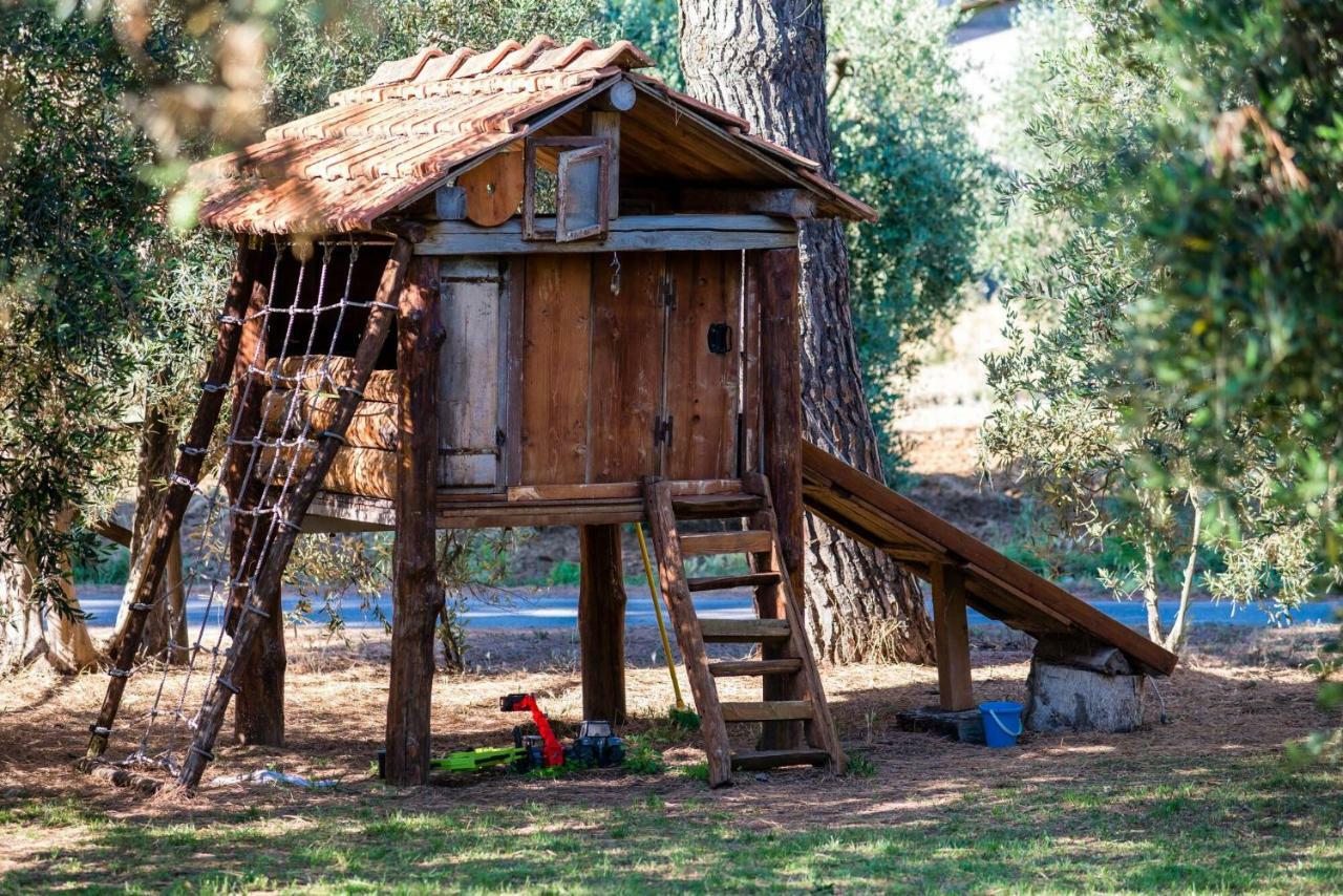 Agriturismo Fontetrilla 奥尔贝泰洛 外观 照片